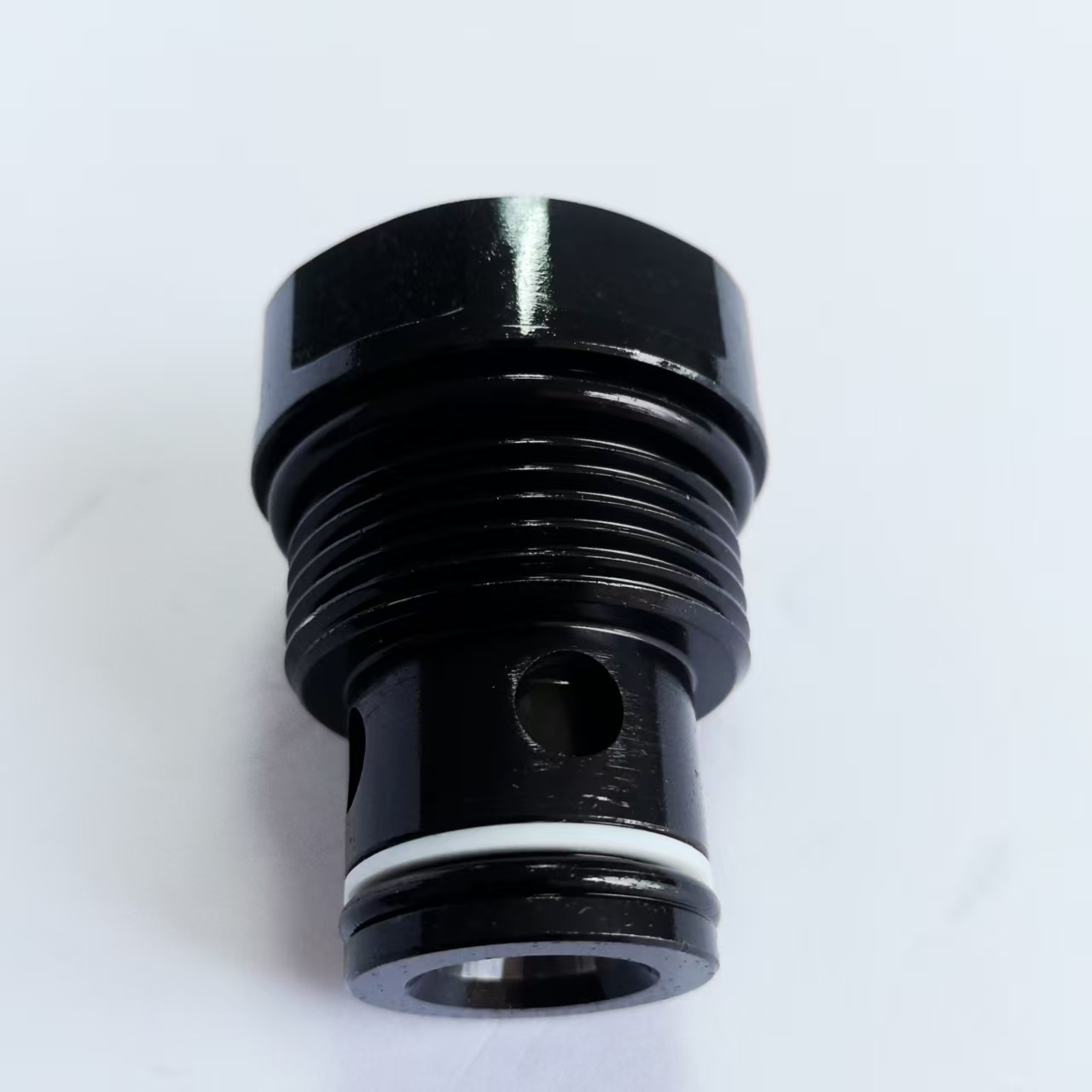 EMNDF18-01 反向單向閥 Reverse check valves